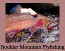 Boulder Flyfishing